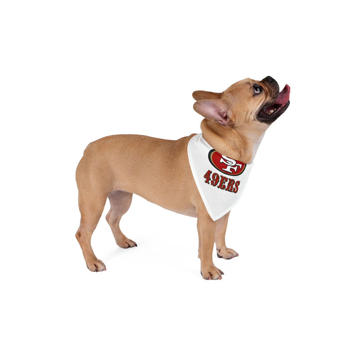 Pet Bandana 49ers